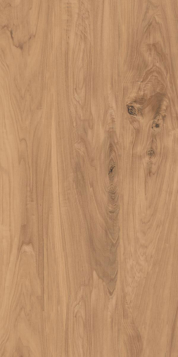 BEECH BROWN F2